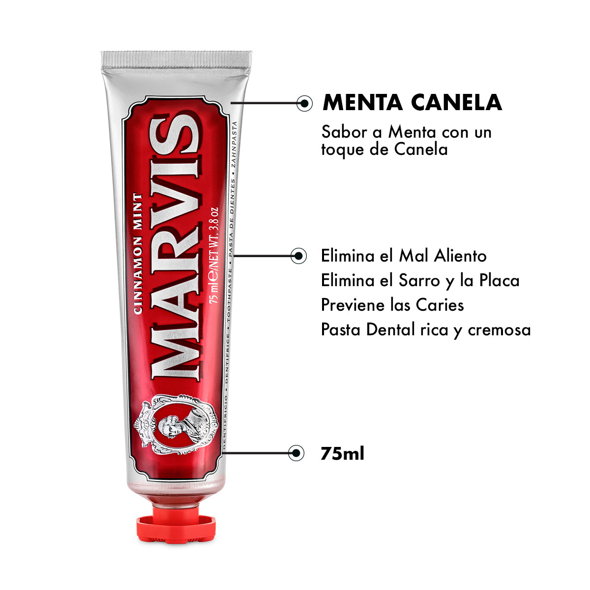 Pasta de Dientes Menta Canela 6 Piezas - ttaiomayoreo